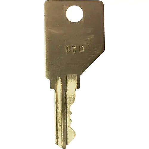 Frost #170 Key