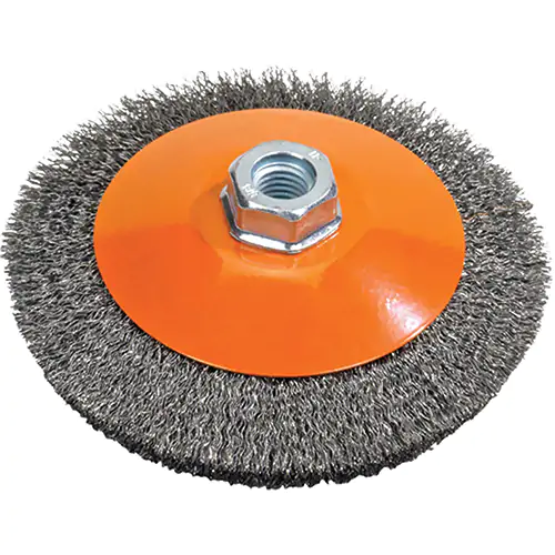 WALTER 5 5/8 SAUCER CUP BRUSH