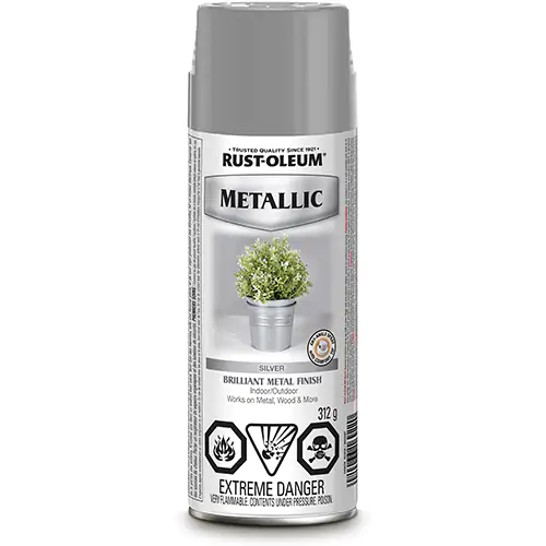 Stops Rust® Outdoor Metallic SILVER METALLIC