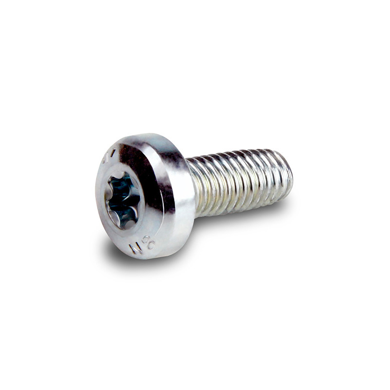 Screw, Socket Pan Head, Torx Plus,10/Pkg