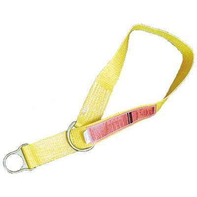 Anchorage Conn Strap,Double D-Rings,5 ft