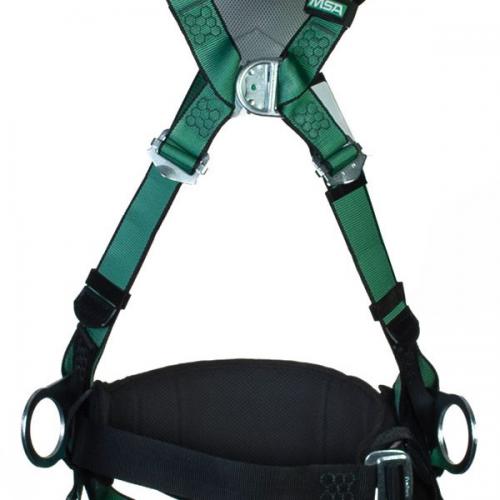 BELT,TB,2 D-RINGS FIXED,BODY PAD 3",XSM