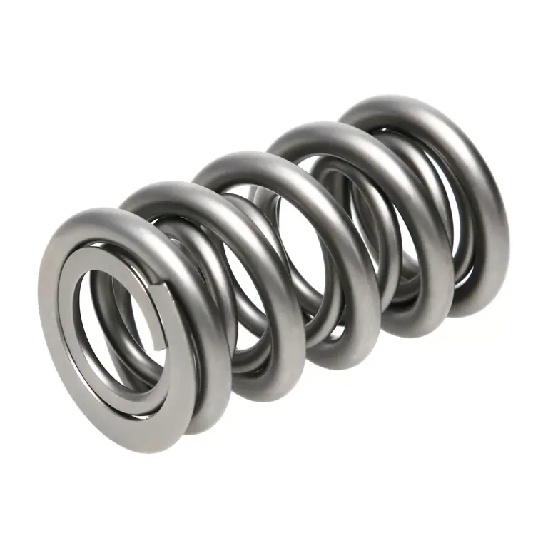 Valve Spring