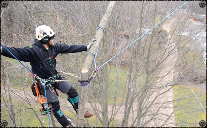 DOUBLE WORK POSITIONING ROPE 90052/D3