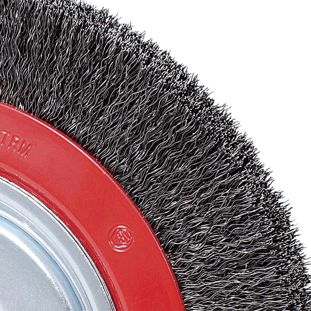 8 x 7/8 Crimped Wire Wheel