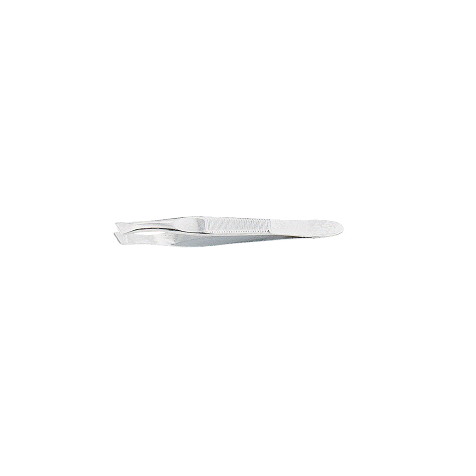 NICKEL PLATED TWEEZERS, ECONOMY, 3" (Silver OS)