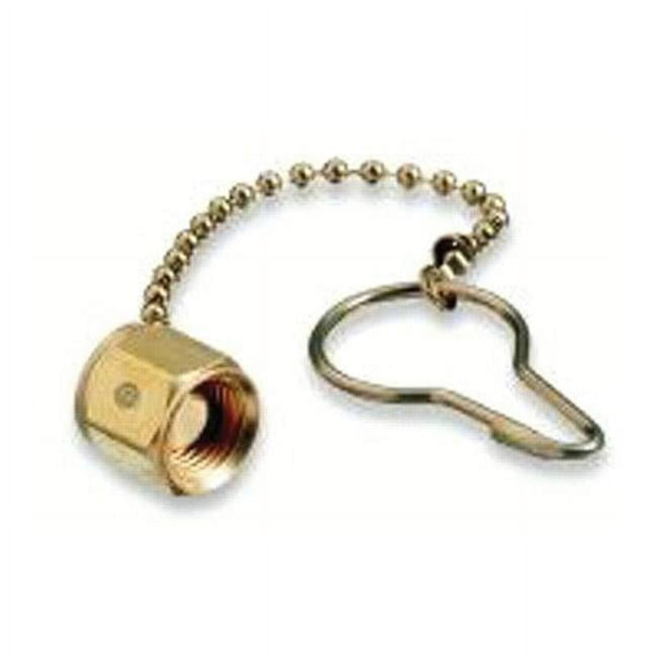 CGA-510 CHAIN & PLUG ASSEMBLY, LH MALE & PLUG, WITH CHAIN & HOOK, BRASS