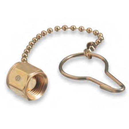 Western CGA 200 NUT & CHAIN DUST CAP