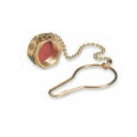 Western CGA 320 NUT/WASHER DUST CAP
