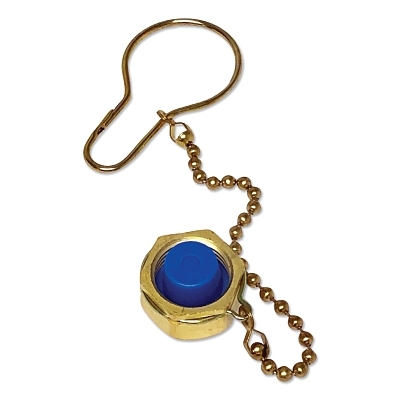 Western CGA 580 NUT & CH DUST CAP