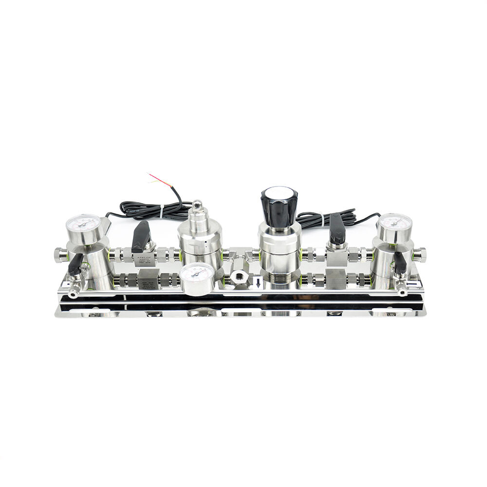 Western DS MANIFOLD/N2 /2 CYL/ 48"PT