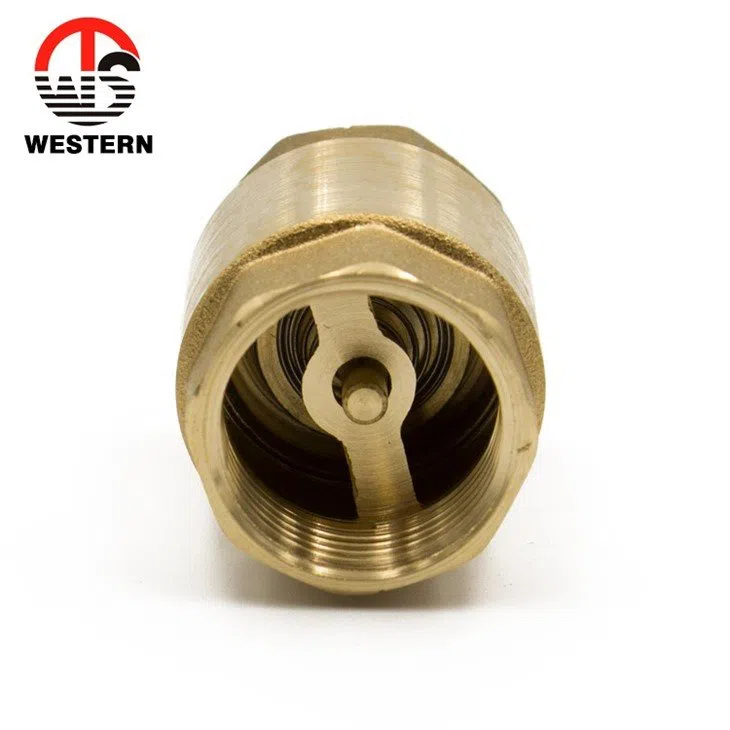 Western DISS 1160 CHECK VALVE 1/4MPT