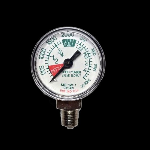 Western GAGE/BT/ 4000 PSI/ 1/8