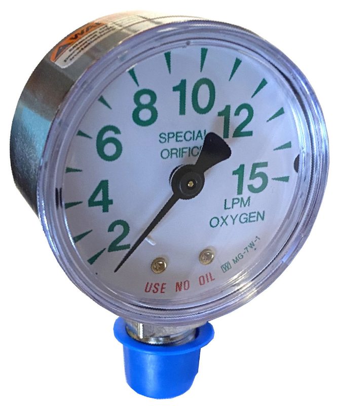 Western GAGE/BK/ 3000 PSI/ 1/8