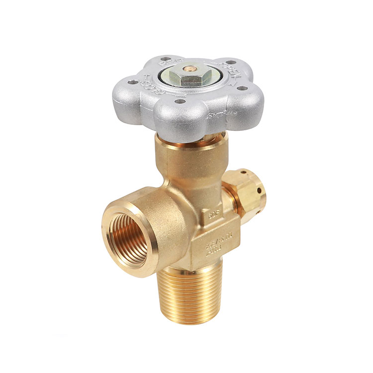 Western PIGTAIL/ CGA 326/C VALVE/ 48"