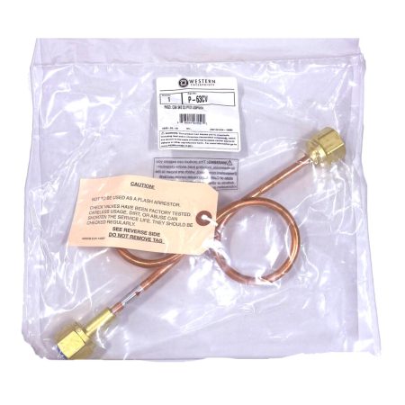 Western PIGTAIL/CGA 540/C VALVE/48"