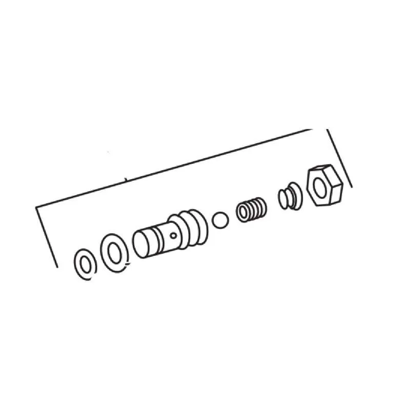 Western SERVICE CHECK VALVE ASSEMBLY