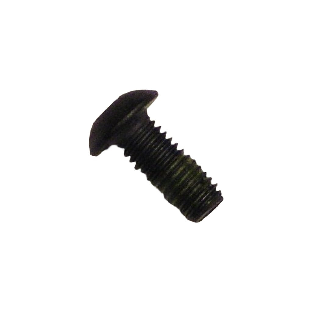 FE0231 SCREW