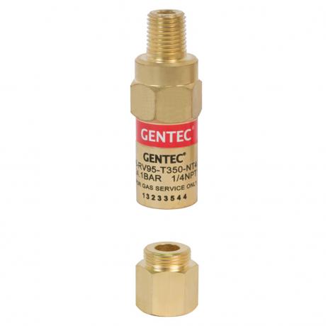 Safety Valve Assmbly 153X/452C/N