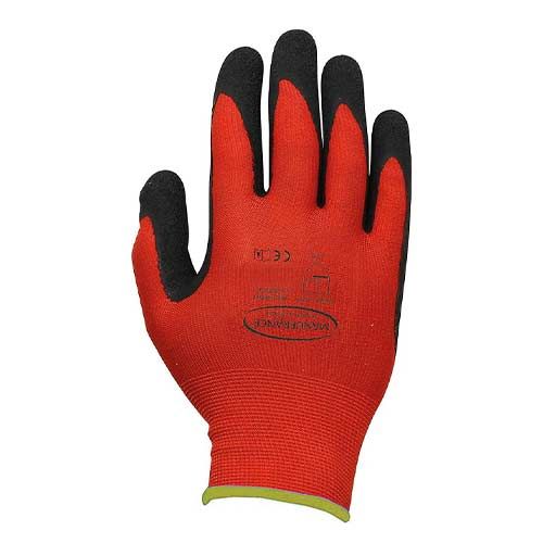TENUE APOTEX T01 GANTS T08 12/C