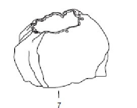 ALLEGRO AP FACE SEAL
