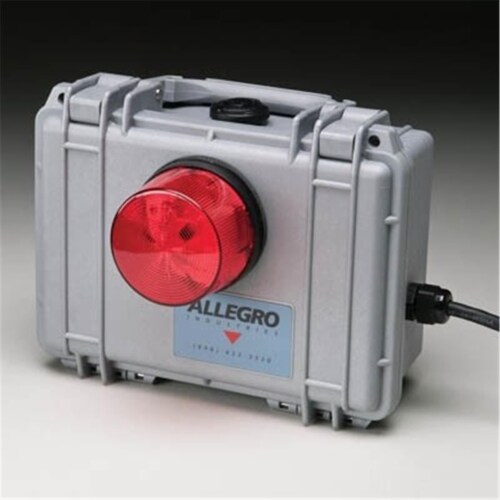 ECONOMY STROBE