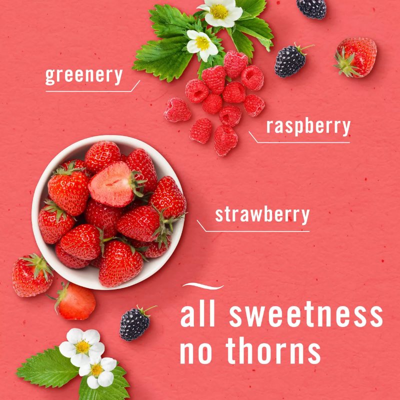 Febreze Bathroom Air Freshener, Odor-Fighting, Berry & Bramble Scent, 1 Count