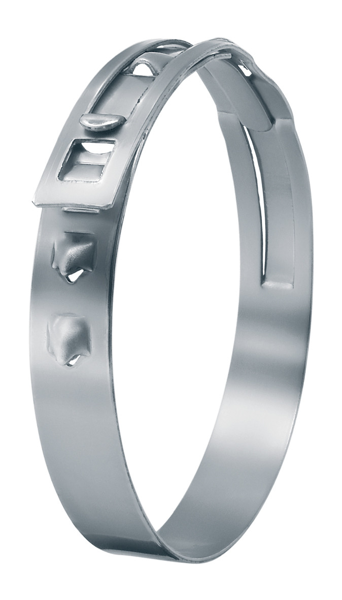 Low Profile Clamp Stainless Steel 31.5-706R LP 1H