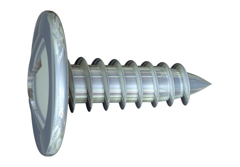 TRUSS HEAD SCREW