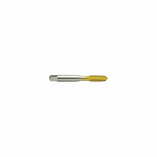 M12X1.75 D6 4FL BOTT TAP TIN