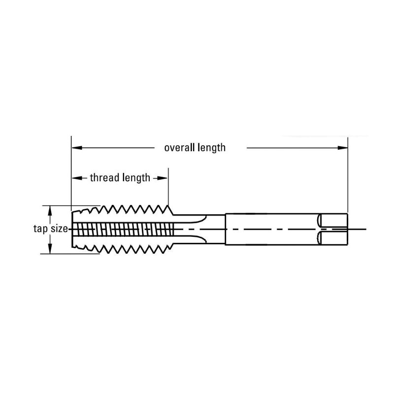 M8X1.25 HSS-E G D5 4F CI1000 TAP