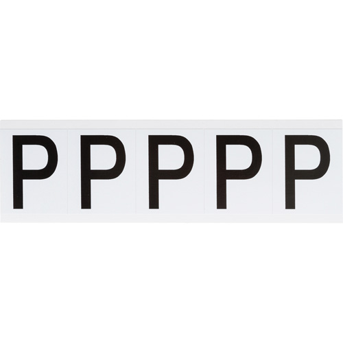 Individual Number & Letter Labels, P, 2" H, Black on White