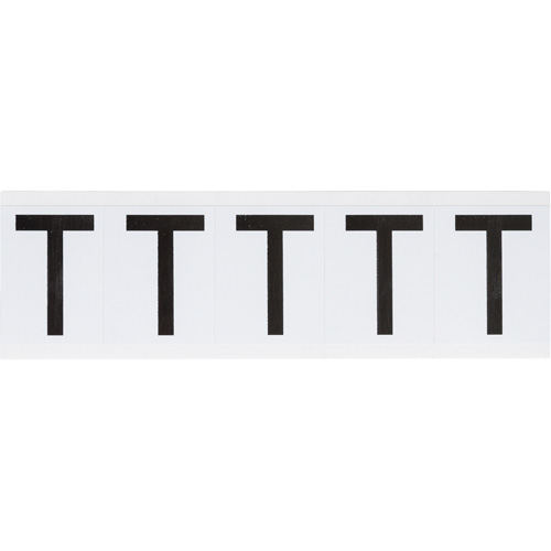 Individual Number & Letter Labels, T, 2" H, Black on White
