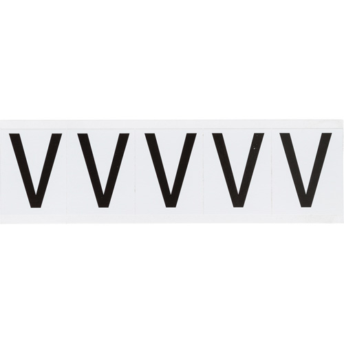 Individual Number & Letter Labels, V, 2" H, Black on White