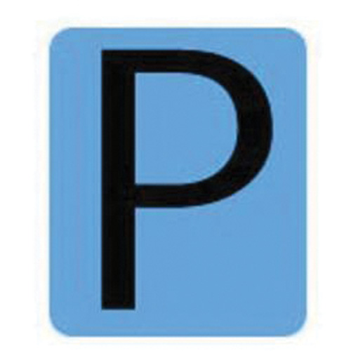 Condensed Quick-Align® Individual Gothic Number & Letter Labels, P, 2" H, Black