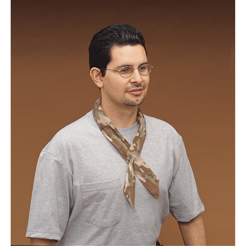 ALLEGRO INDUSTRIES Cool Offs Bandana, Multi-Colour
