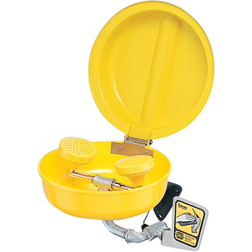 Eye/Face Wash With Cover, Pedestal Installation, Plastic Bowl
