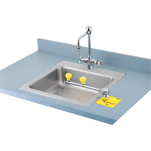 Swing-Away™ Eyewash Station, Counter-Mount Installation