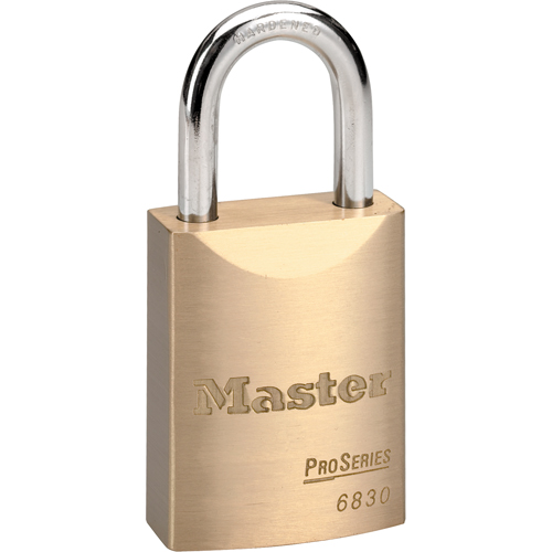 ProSeries® Padlock, Silver, Keyed Different, Brass Coating, 1-9/16" Width
