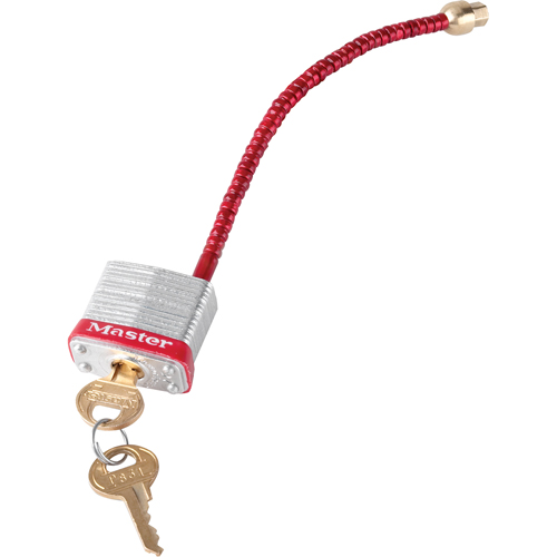 Switch Padlocks, Wall Switch Type