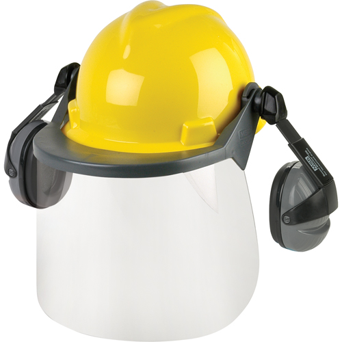 Head & Face Protection Systems