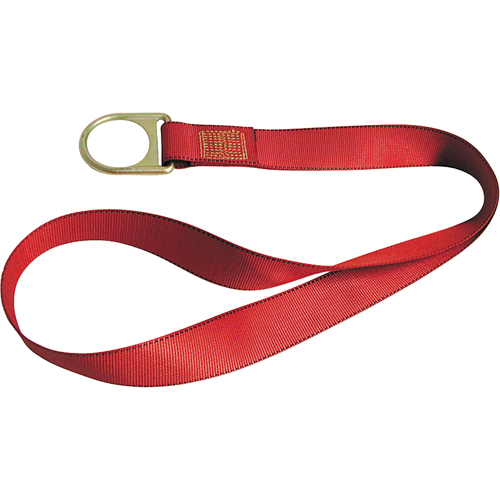 PointGuard™ Anchorage Connector Straps, D-Ring, Temporary Use