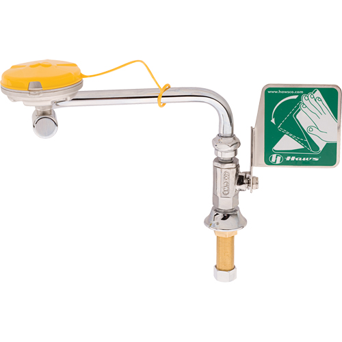 Axion® Eye/Face Wash Station, Sink Mount Installation