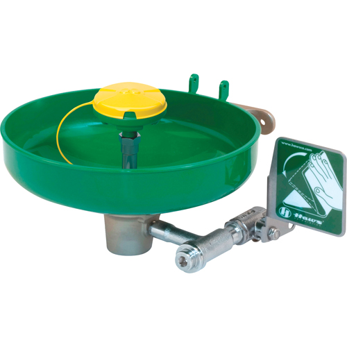 Axion® Eye/Face Wash Station, Wall-Mount Installation, Plastic Bowl