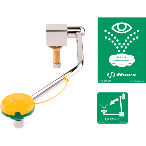 Eye/Face Wash Station, Sink Mount Installation