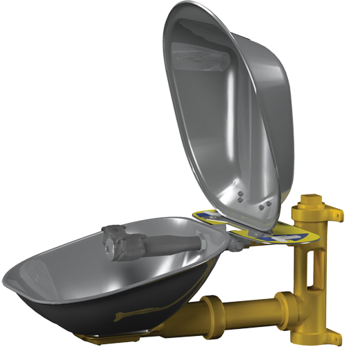 Halo™ Eyewash Stations, Wall-Mount Installation, Stainless Steel Bowl