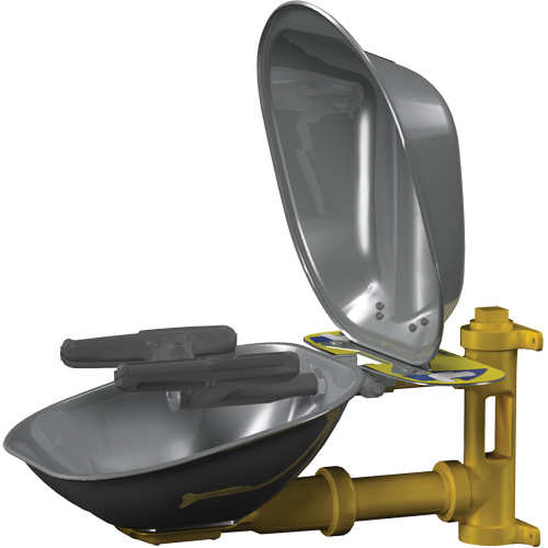 Halo™ Face/Eyewash Stations, Wall-Mount Installation, Stainless Steel Bowl