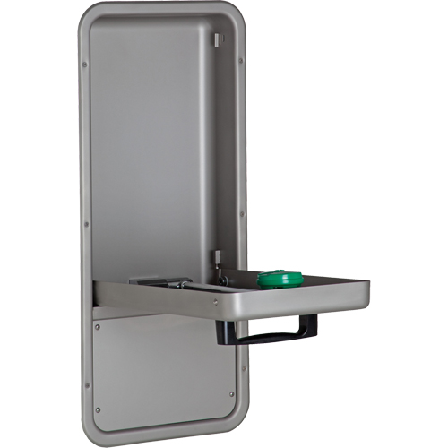 Eye/Face Wash Station, Wall-Mount Installation, Stainless Steel Bowl