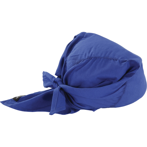 Chill-Its® 6710CT Cooling Triangle Hats, Blue