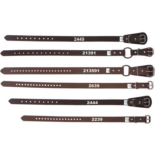 Climber's Ankle Straps